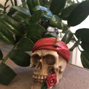 Crânio P – Pirata Lenço Vermelho e Rosa na Boca