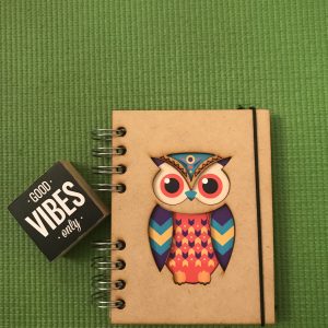 Caderno de Ideias – Coruja