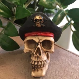 Crânio P – Pirata Capitão