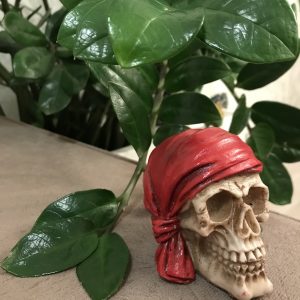 Crânio P – Pirata Lenço Vermelho