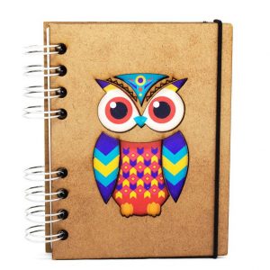 Caderno de Ideias – Coruja