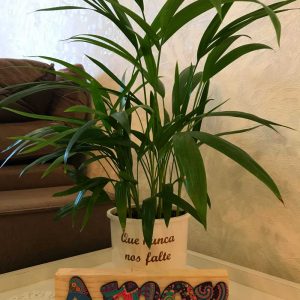 Palavra Decorativa – Amor